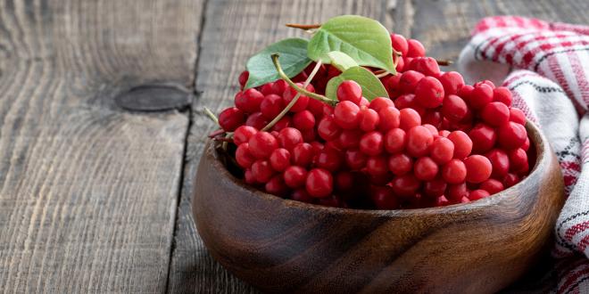 a bowl of schisandra berries